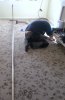 2012-11-05 12.31.55.jpg