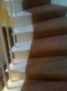 ImageUploadedByTapatalk HD1362784058.270424.jpg