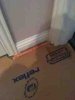 ImageUploadedByTapatalk HD1362784217.559542.jpg
