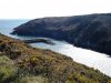 Porthclais.jpg