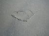 floor cracks 2.jpg