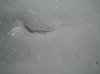 floor cracks 5.jpg
