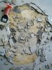 subfloor 1.jpg