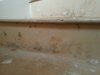 20130322_132845.jpg