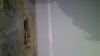 20131203_140727.jpg