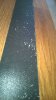 WP_20140325_002.jpg