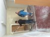 ImageUploadedByTapatalkHD1428350320.057453.jpg