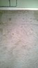WP_20150619_003.jpg