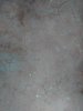 IMG_20160424_111608065.jpg