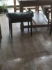 IMG_2007.jpeg