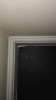 IMG_20180927_163928 (449x800).jpg