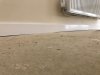 IMG-20181101-WA0019.jpg