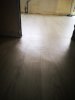 amtico 2.jpg