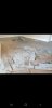 Screenshot_20191010-230016_Gallery.jpg