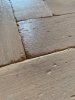 IMG_3222.jpeg