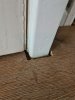 20220103_110527.jpg