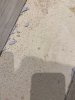 IMG_0264.jpeg