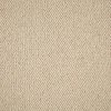 carpetsample.jpg