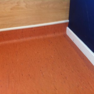 IMG 1749