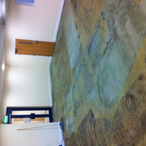 photo 1 3