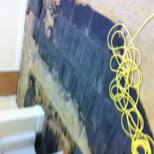 photo 3 (1)