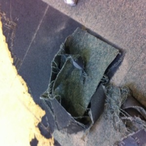 photo 2 (1)