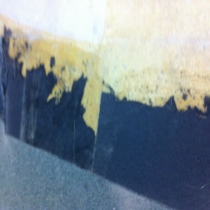photo 1 (1)