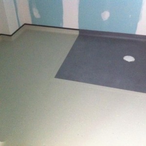 Disabled washroom in Papdale Halls of Residence, Orkney.