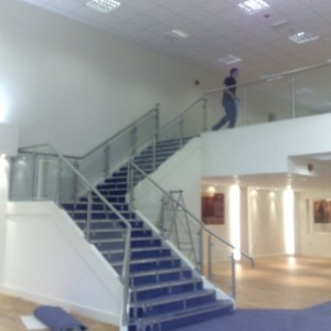 land of leather carpet and nosings to stairs and karndean throughout