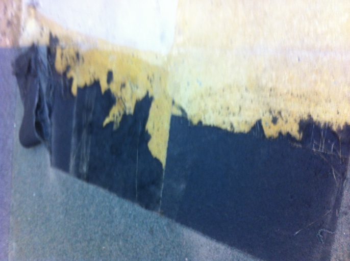 photo 1 (1)