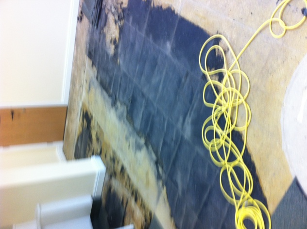 photo 3 (1)